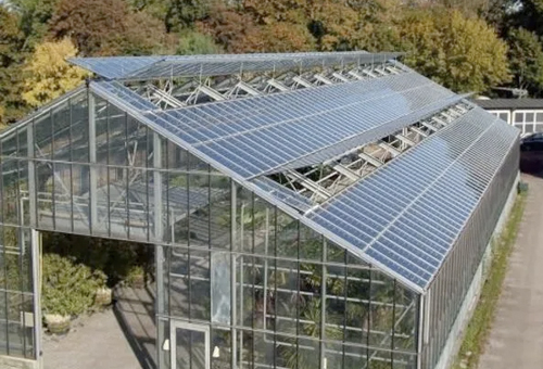 Energia em estufas: o que avaliar antes de investir