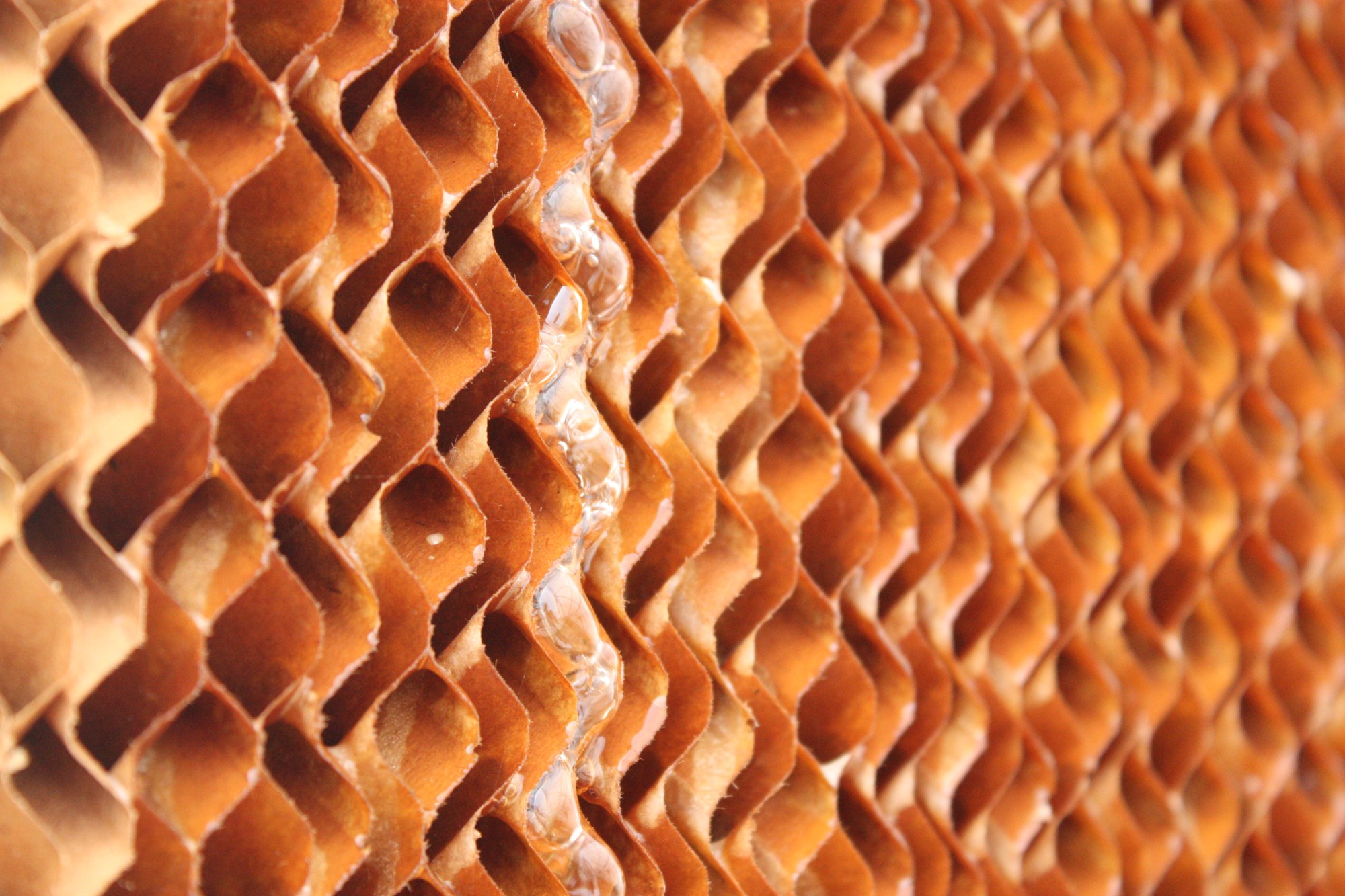 Evaporative cooling · CiberAgro