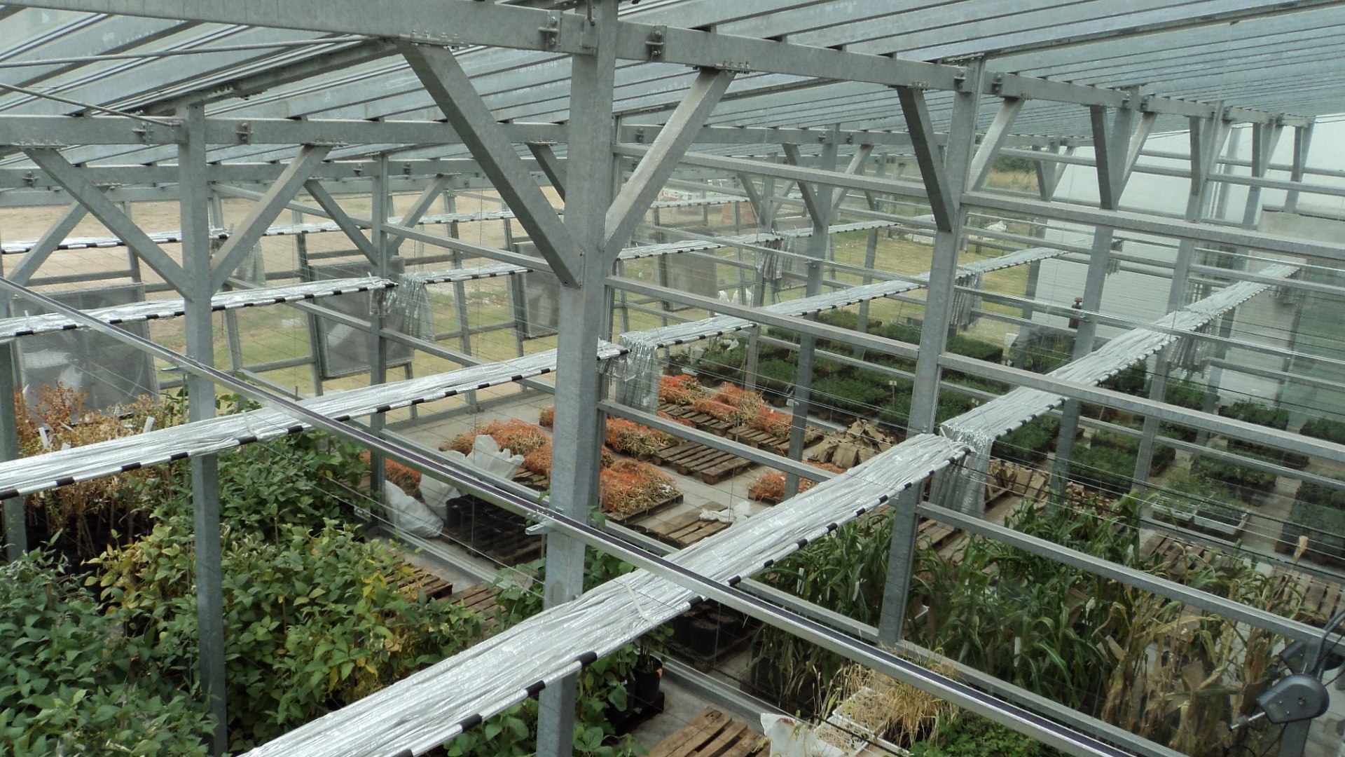 Greenhouses