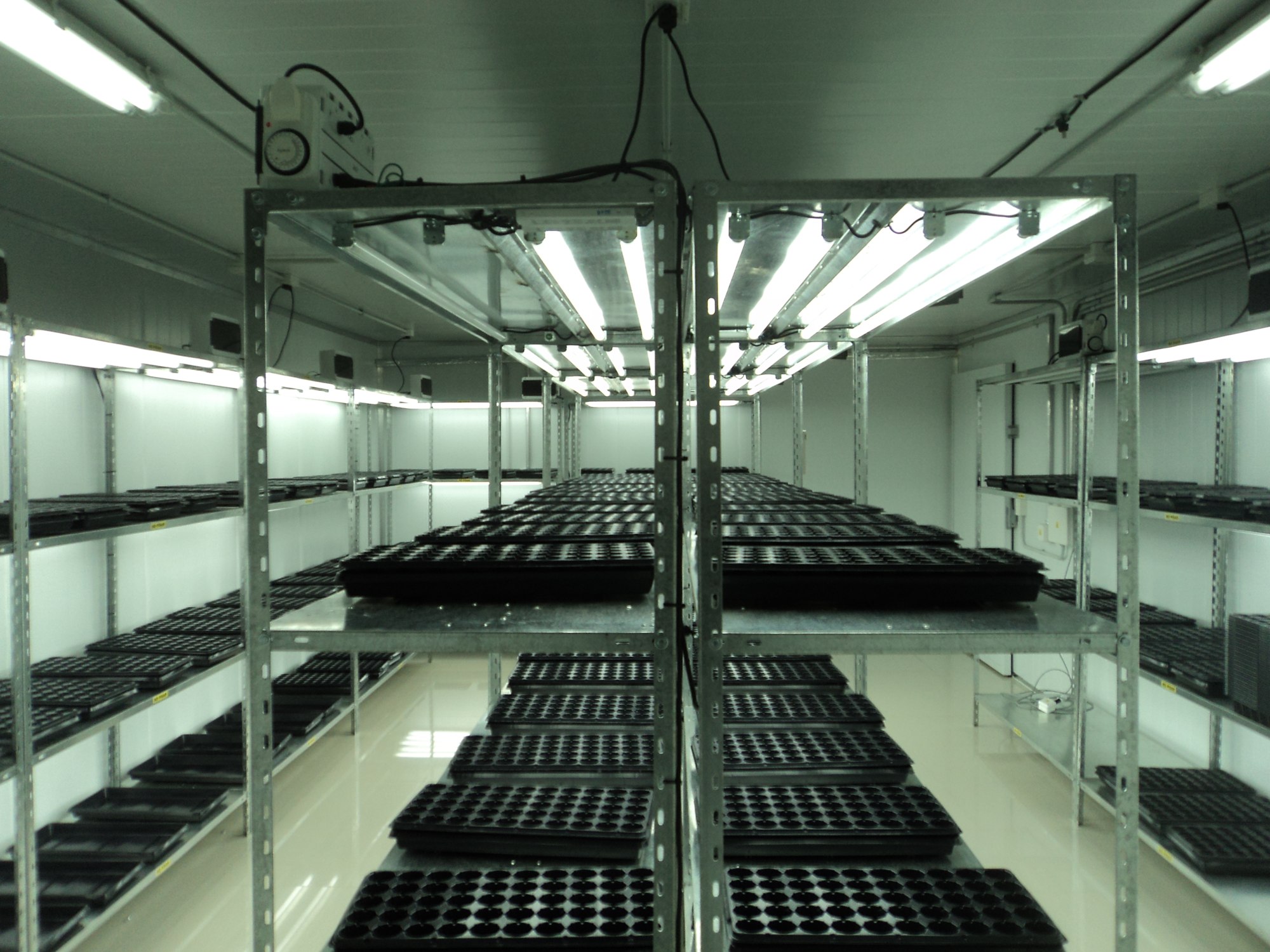 Lighting · CiberAgro