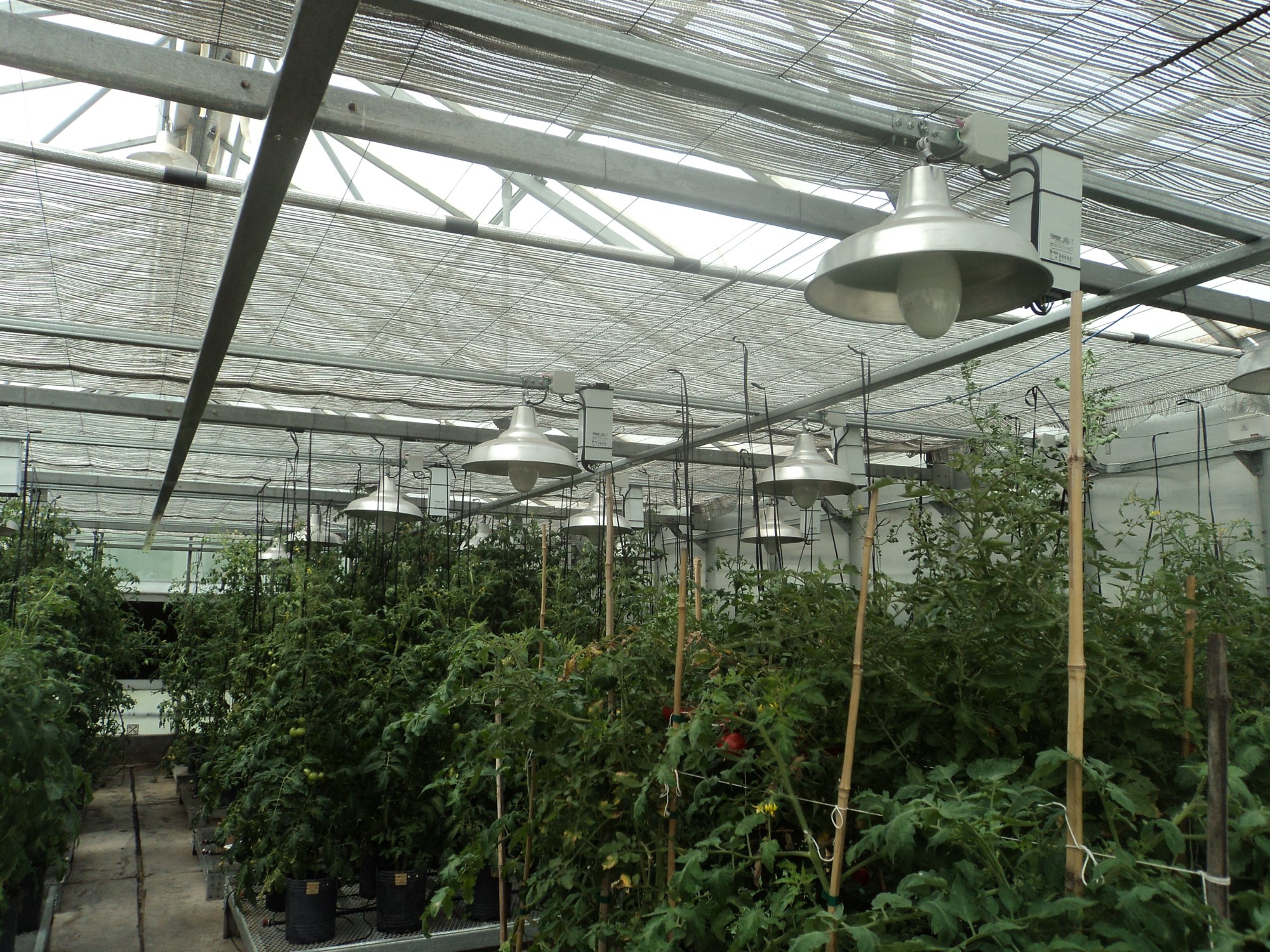 Aluminized thermal screens · CiberAgro