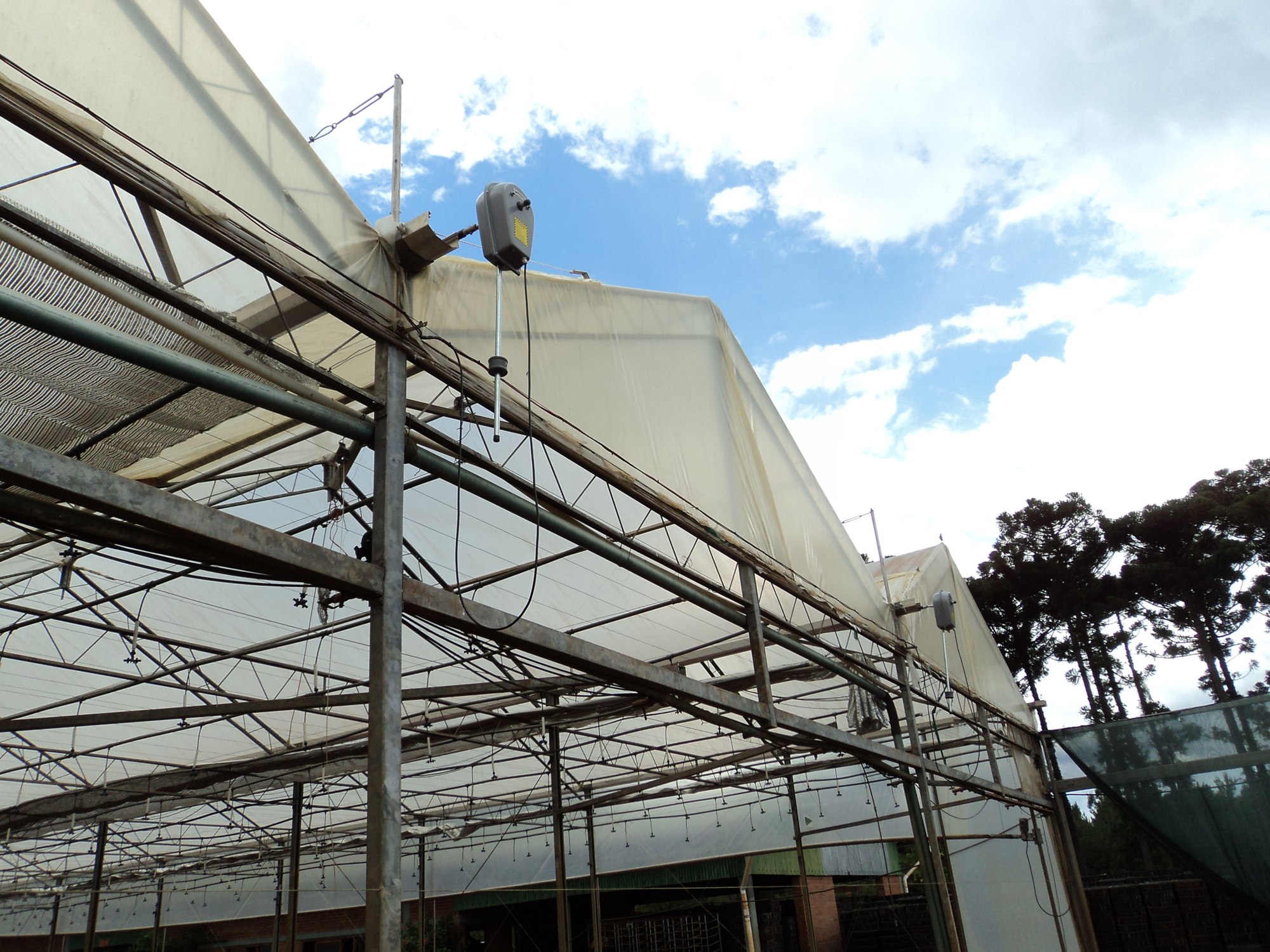 Melhore a renovação e a distribuição do ar na sua estufa